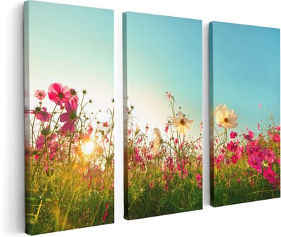 Artaza Canvas Schilderij Drieluik Kosmos Bloemenveld Met Een Opkomende Zon - 120x80 - Foto Op Canvas - Canvas Print