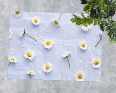 Coloray Vloerbeschermer - Witte madeliefjes Vloerbeschermer Bureaustoel - 100x70 cm - Wit Vloerbeschermer Groot - Vloerbeschermer Bureaustoel Tapijt - Mótif Vloerbeschermer - Rechthoekige Mat - Natuur Thema
