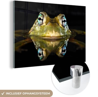 MuchoWow® Glasschilderij 120x80 cm - Schilderij acrylglas - Kikker - Ogen - Portret - Foto op glas - Schilderijen