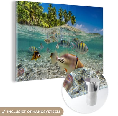 MuchoWow® Glasschilderij 120x80 cm - Schilderij acrylglas - Strand - Vissen - Tropisch - Foto op glas - Muurdecoratie woonkamer - Wanddecoratie slaapkamer - Schilderijen