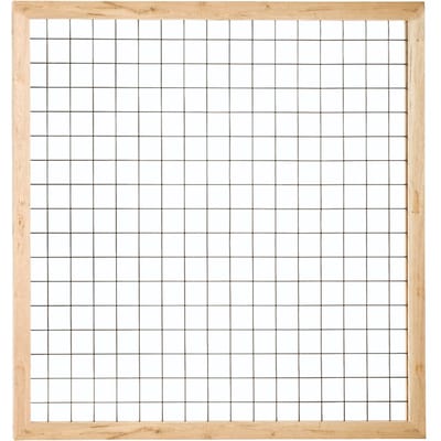 Intergard Tuinscherm trellis vuren 180x180cm