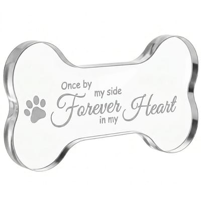 Transparant acryl gedenkbeeld huisdier herdenkings decoratie botvorm met tekst voor hond of kat herinnering en memorial display