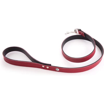 Hondenriem Martin Sellier Allure T100