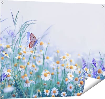Gards Tuinposter Witte Kamille Bloemen met een Vlinder - 100x80 cm - Tuindoek - Tuindecoratie - Wanddecoratie buiten - Tuinschilderij