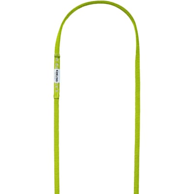 Riem ring Edelrid Tech Web Sling