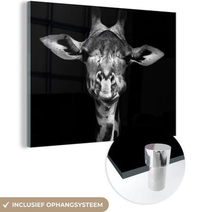 Glasschilderij - Foto op glas - Wilde dieren - Giraffe - Zwart - Wit - 160x120 cm - Acrylglas - Wanddecoratie glas - Glasschilderij giraffe - Woondecoratie - Glasschilderij dieren