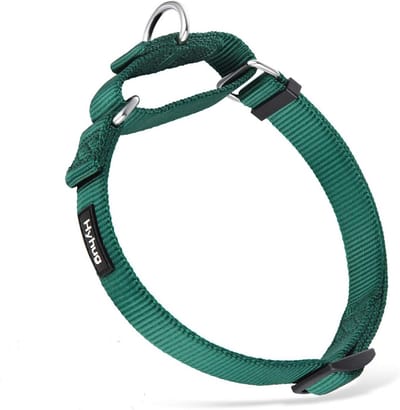 Ontsnappingsbestendige Martingale-halsband voor kleine honden – Veilig, comfortabel en duurzaam