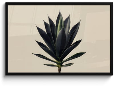 Poster in lijst - Fotolijst 90x60 cm - Posters - Agaveplant - Symmetrisch - Groen - Posterlijst zwart - Decoratie - Wanddecoratie woonkamer - Muurdecoratie slaapkamer
