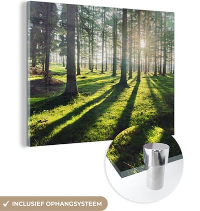 MuchoWow® Glasschilderij 120x90 cm - Schilderij acrylglas - Bomen - Natuur - Bos - Foto op glas - Schilderijen
