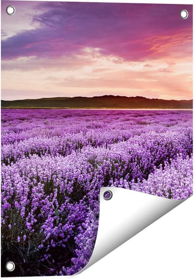 Gards Tuinposter Bloemenveld met Paarse Lavendel - Bloemen - 40x50 cm - Tuindoek - Tuindecoratie - Wanddecoratie buiten - Tuinschilderij