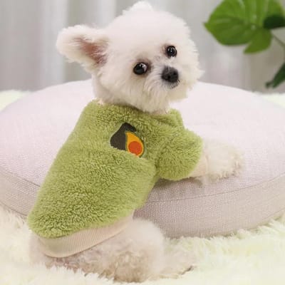 Vêtements pour petits chiens Vêtements Vêtements chauds pour chiens Manteau Tenue pour chiot Vêtements pour petits chiens Sweat à capuche Chihuahua M