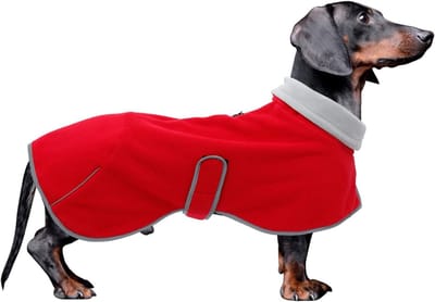 Hondenvachtjas voor Teckel en Puppy, Winterjas met Reflecterende Voering en Hoge Kraag, Verstelbare Snowsuit in Rood - M
