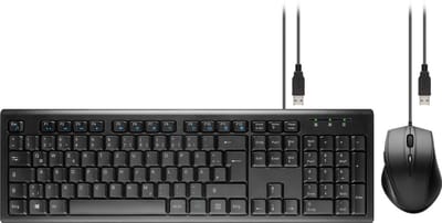 Goobay 96493 toetsenbord Inclusief muis USB QWERTZ Duits Zwart