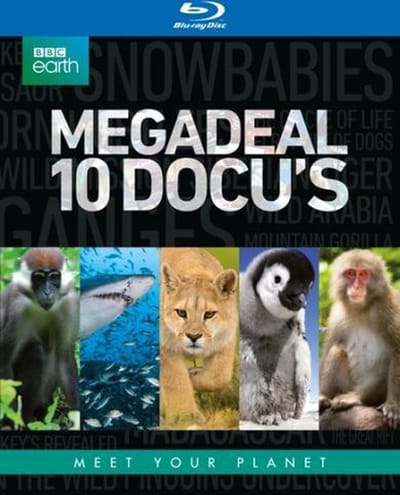 Bbc Earth Box 2017