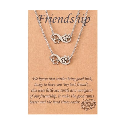 BFF Ketting voor 2 met Oneindigheidsteken & Schildpadjes - Zilverkleurig - Vriendschapsketting met Cadeau kaartje - Pax Amare