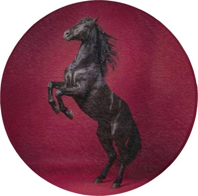 WC mat rond 70x70 cm - Antislip - Hengst - Steigert - Rood - Toiletmat - Vloermat - Douchemat - Toilet tapijt - Toiletmatten