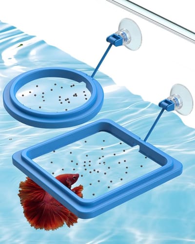 2 Stuks Aquarium Voeder Ringen met Zuignap - Rond en Vierkant Drijvende Voederdispenser voor Kleine Vissen, Betta, Goudvis en Schildpadden