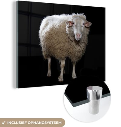 MuchoWow® Glasschilderij 160x120 cm - Schilderij acrylglas - Schaap - Boerderijdieren - Zwart - Foto op glas - Schilderijen
