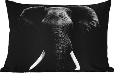 Buitenkussens - Tuin - Olifant - Wilde dieren - Zwart - Wit - Portret - 50x30 cm