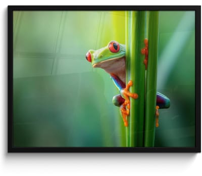 Poster in lijst - Fotolijst 70x50 cm - Posters - Groene kikker - Nieuwsgierig - Gras - Posterlijst zwart - Decoratie - Wanddecoratie woonkamer - Muurdecoratie slaapkamer