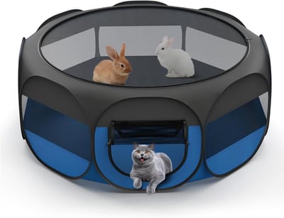 CLGP® Kattenren Binnen en Buiten - Dierenren - Zwart en Blauw
