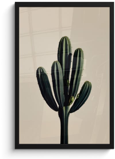 Poster in lijst - Fotolijst 40x60 cm - Posters - Cactus - Subtiel - Groen - Posterlijst zwart - Decoratie - Wanddecoratie woonkamer - Muurdecoratie slaapkamer