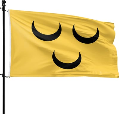 VlagDirect - Voorschoten vlag - Gemeente Voorschoten vlag - 90 x 150 cm.