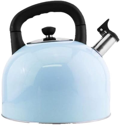Waterkoker Fornuis - Grote Ketel - Thuis Gebruik - Luid Fluitsignaal - 4 Liter - Blauw