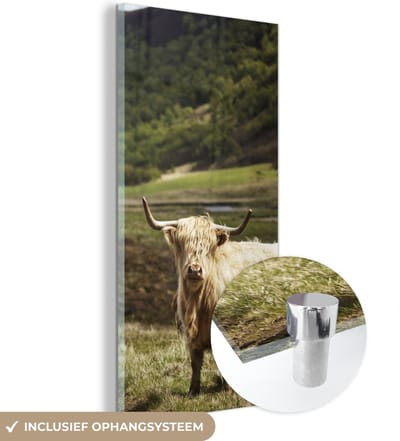 MuchoWow® Glasschilderij 20x40 cm - Schilderij acrylglas - Schotse Hooglander - Pad - Bos - Foto op glas - Schilderijen