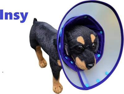 Muilkorven , hond, hondenkap, hond Muilkorf, hond halsband, hond, hond brace, honden kap, Beschermkraag, hondenkraag, Muilkorven Maat S.