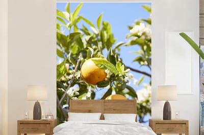 Behang - Fotobehang Sinaasappels aan een boom met oranjebloesem - Breedte 145 cm x hoogte 220 cm
