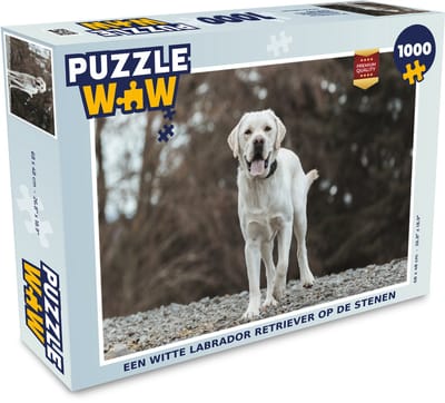 Puzzel Een witte Labrador Retriever op de stenen - Legpuzzel - Puzzel 1000 stukjes volwassenen