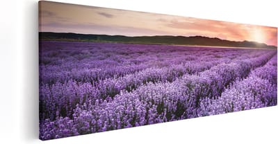 Artaza Canvas Schilderij Lavendel - 60x20 cm - Wanddecoratie Bloemenveld - Muurdecoratie Natuur - Kamer Accessoires
