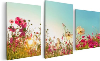 Artaza Canvas Schilderij Drieluik Kosmos Bloemenveld Met Een Opkomende Zon - 120x60 - Foto Op Canvas - Canvas Print