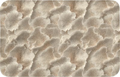 WC mat 80x50 cm - Antislip - Waaierstructuren - Beige - Vezeltextuur - Toiletmat - Vloermat - Douchemat - Toilet tapijt - Toiletmatten