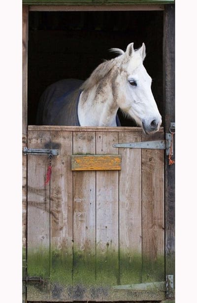 Dieren tuinposter doorkijk- paard staldeur - 85x170 cm - deurposter voor buiten - tuindecoratie - doorkijk dieren - balkon decoratie