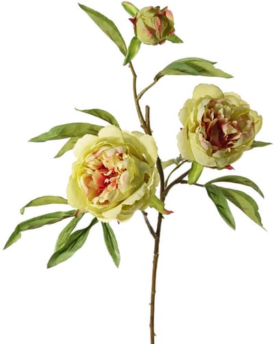 Topart Kunstbloem pioenroos Spring Dream - groen/roze - 73 cm - kunststof