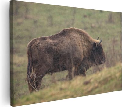 Artaza Canvas Schilderij Buffel - 30x20 cm - Klein - Wanddecoratie Dierenkop - Muurdecoratie Wilde Dieren - Kamer Accessoires