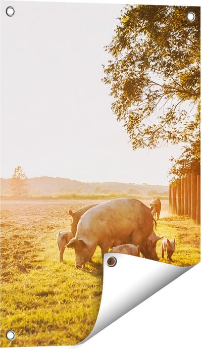 Gards Tuinposter Varken Familie - Varkens - 40x60 cm - Tuindoek - Tuindecoratie - Wanddecoratie buiten - Tuinschilderij