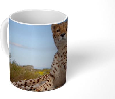 Mok - Koffiemok - Luipaard - Dieren - Natuur - Mokken - 350 ML - Beker - Koffiemokken - Theemok