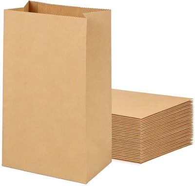 Dailygoods- Kraftpapieren Zakjes 100 Stuks - Geschenktas - Papieren Zakken - Feest - Verjaardag - Bruiloft - 20 x 11 x 6 cm - Geschenkzakjes