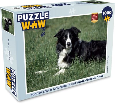 Puzzel Border collie liggende in het hoge groene gras - Legpuzzel - Puzzel 1000 stukjes volwassenen