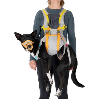 Reddingsvest voor honden Ruffwear BackTrak