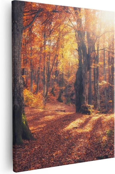 Artaza Canvas Schilderij Herfstbos - 80x100 cm - Groot - Wanddecoratie Bos - Muurdecoratie Bomen - Schilderijen Op Canvas Landschap