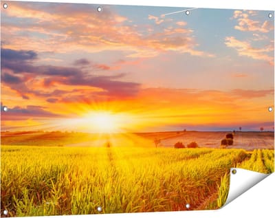 Gards Tuinposter Zonsopgang op het Ma�sveld - 120x80 cm - Tuindoek - Tuindecoratie - Wanddecoratie buiten - Tuinschilderij