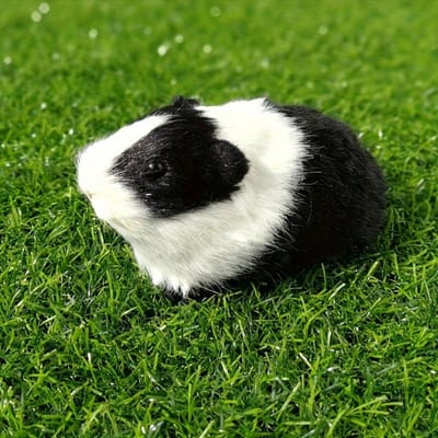 Simulatie Vacht Cavia Dier Pluche Knuffel Hamster Pop Pluche Speelgoed Zacht Knuffeldier Figuur voor Kinderen Verjaardagscadeau zwart