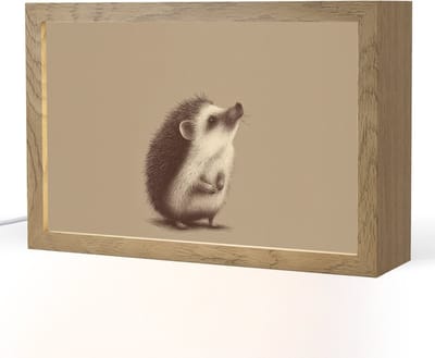Nachtlampje 30x20 cm - Kinder lampje - Egel - Snuitje - Bruin - Stekels - Tafellamp kinderkamer - Slaapkamer lamp - Bedlamp kinderen - Kinderlampje stopcontact - Wandlamp babykamer - Nachtlampjes