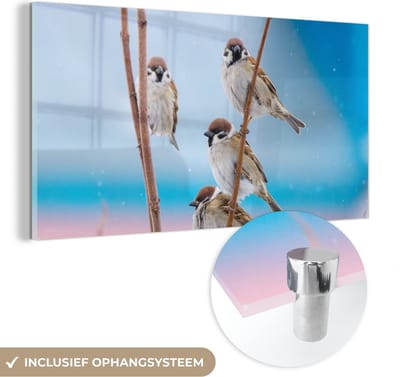 MuchoWow® Glasschilderij 40x20 cm - Schilderij acrylglas - Vogels - Mus - Dieren - Takken - Foto op glas - Schilderijen