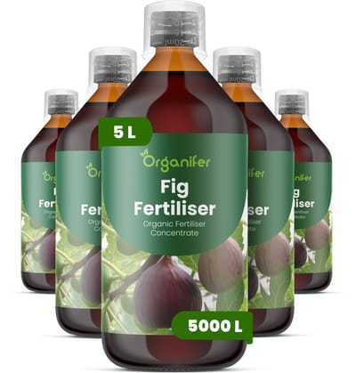 Vloeibare Meststof Voor Vijgen - 5X1 L Voor 5000 L - Npk 2-1-8 - Gezond Blad En Frui - Bevordert Groei En Fruitkwaliteit - Versterkt Het Wortelstelsel - Vergroot De Weerstand - Verhoogt De Algehele Vitaliteit - Organifer