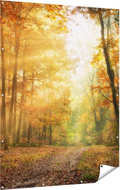 Gards Tuinposter Herfstbos met Zonneschijn - 120x160 cm - Tuindoek - Tuindecoratie - Wanddecoratie buiten - Tuinschilderij
